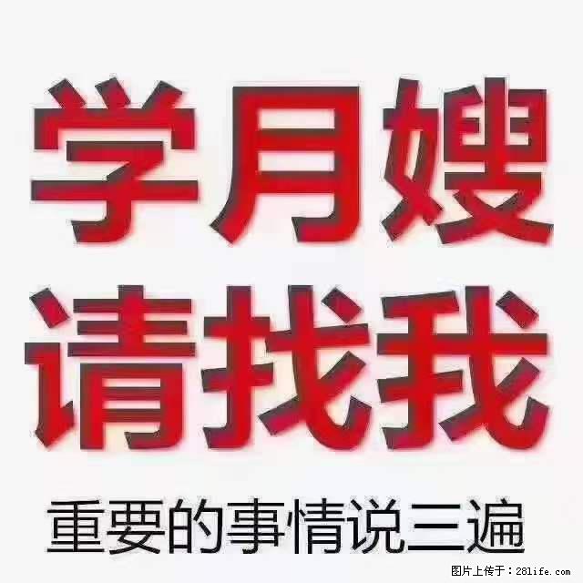 为什么要学习月嫂，育婴师？ - 其他广告 - 广告专区 - 汉中分类信息 - 汉中28生活网 hanzhong.28life.com