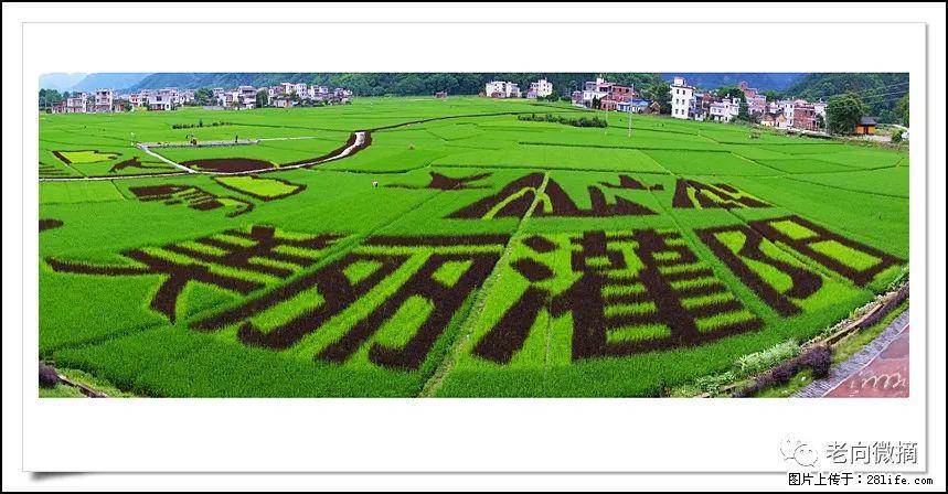 【春天,广西桂林灌阳县向您发出邀请!】开篇 - 游山玩水 - 汉中生活社区 - 汉中28生活网 hanzhong.28life.com