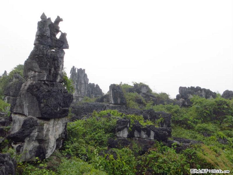 桂林旅游名城景点：灌阳文市石林 - 游山玩水 - 汉中生活社区 - 汉中28生活网 hanzhong.28life.com