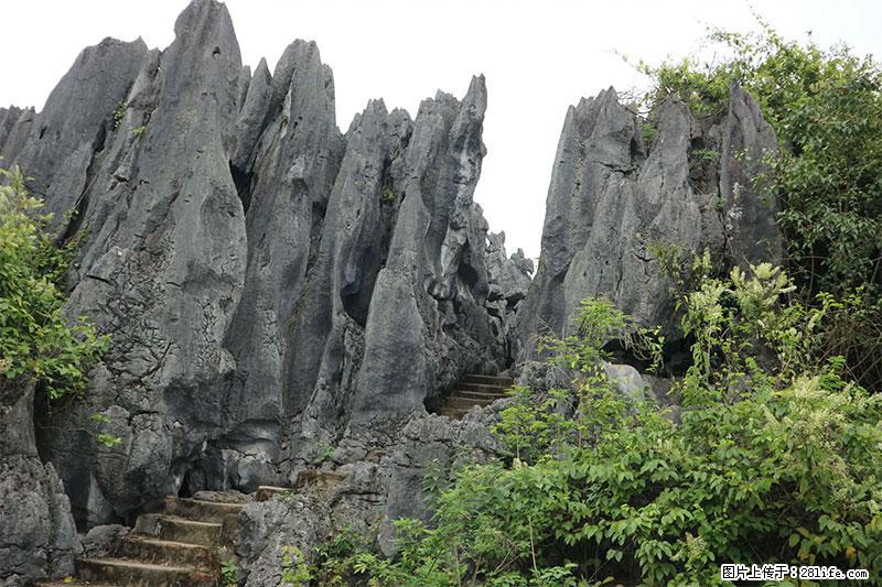 桂林旅游名城景点：灌阳文市石林 - 游山玩水 - 汉中生活社区 - 汉中28生活网 hanzhong.28life.com