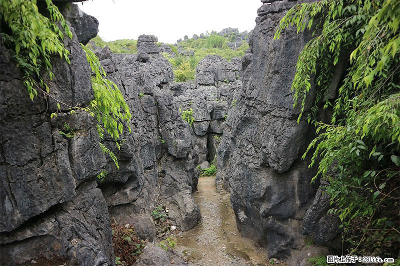 桂林旅游名城景点：灌阳文市石林 - 游山玩水 - 汉中生活社区 - 汉中28生活网 hanzhong.28life.com