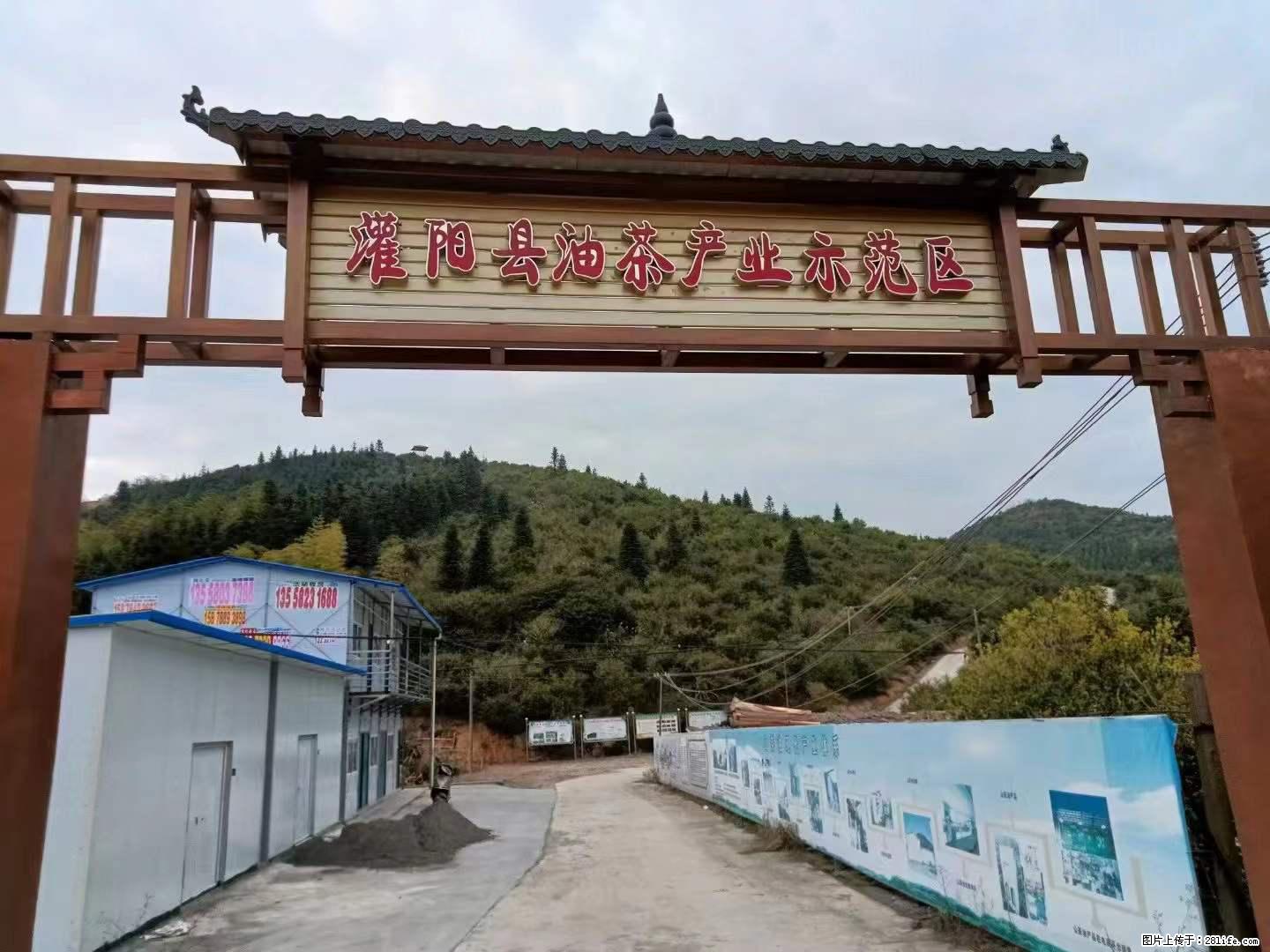 【灌阳县油茶产业示范区】一个有着充实的精神生活的人,对待身外之物自会有一种淡泊的态度 - 美食天地 - 汉中生活社区 - 汉中28生活网 hanzhong.28life.com