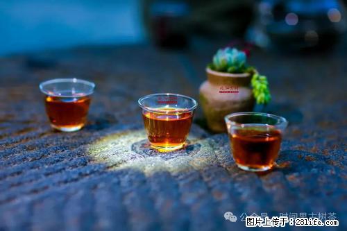 时间果百年古树2025年春红茶 - 购物交流 - 汉中生活社区 - 汉中28生活网 hanzhong.28life.com