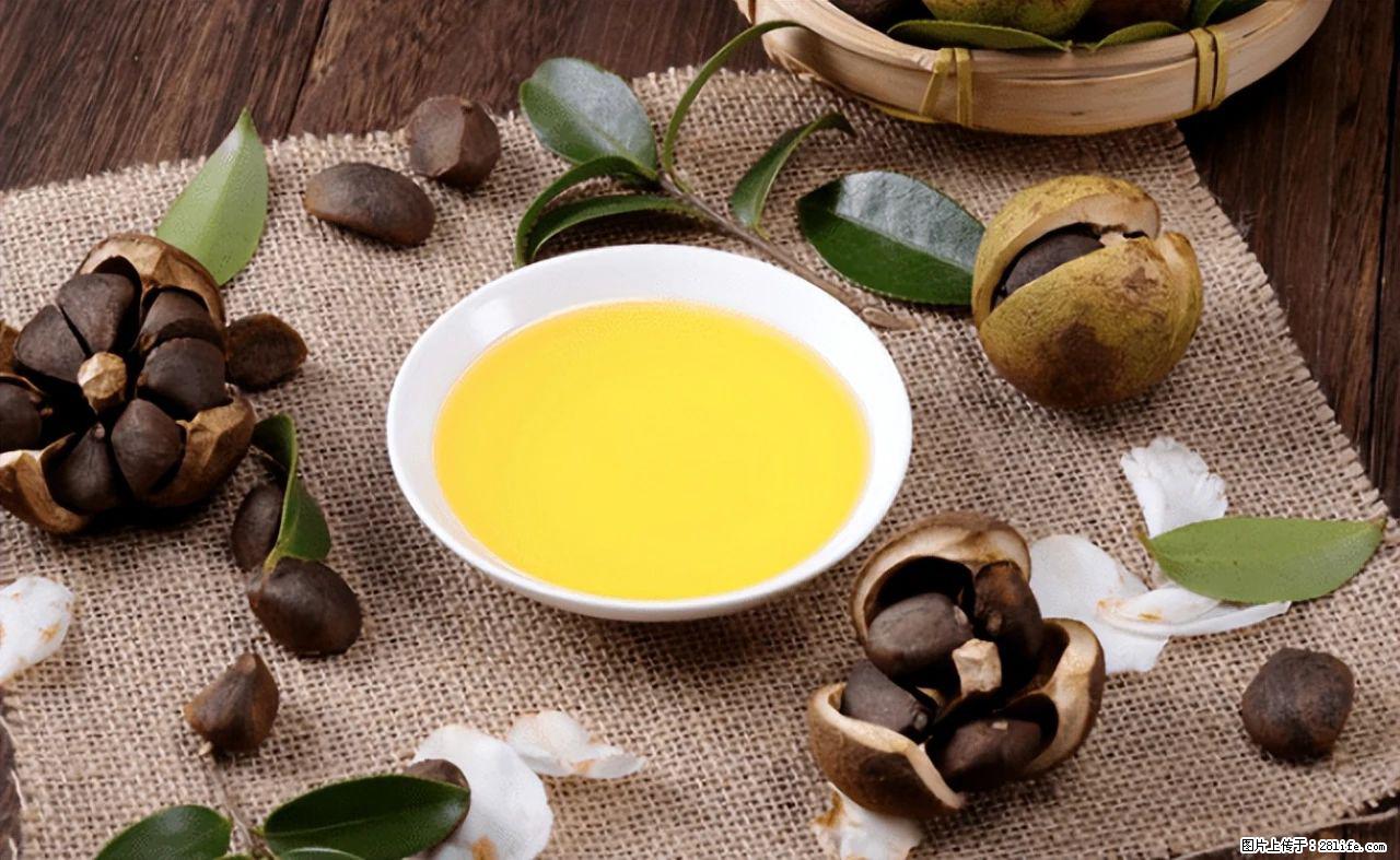 揭秘茶油的5大核心营养成分!被称为人体健康的“守护盾”! - 汉中生活资讯 - 汉中28生活网 hanzhong.28life.com