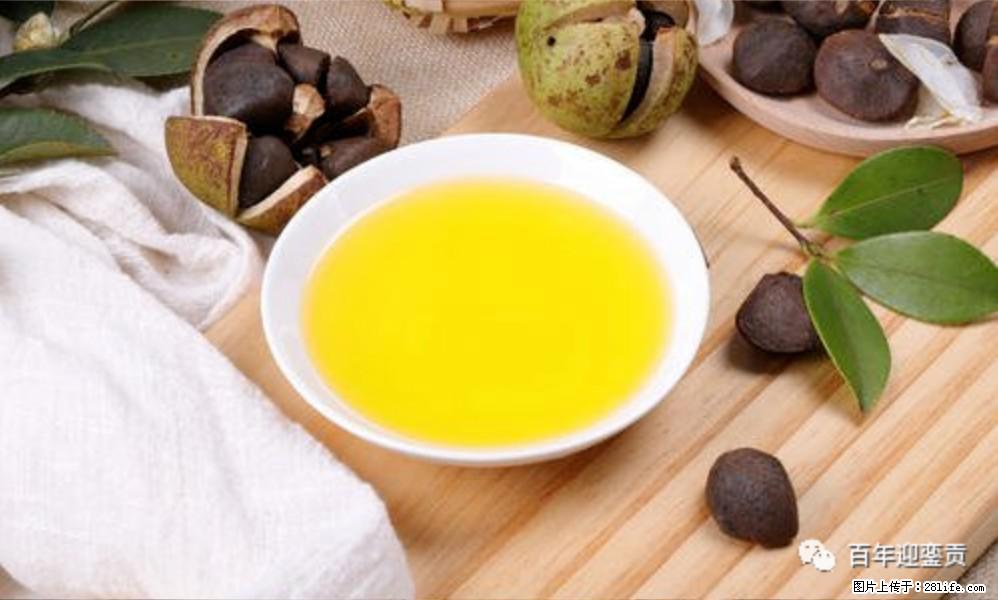 揭秘茶油的5大核心营养成分!被称为人体健康的“守护盾”! - 汉中生活资讯 - 汉中28生活网 hanzhong.28life.com