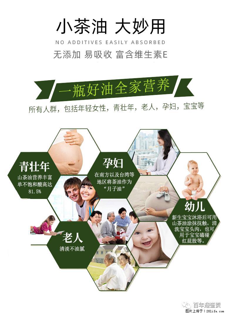 世界没有真相,只有认知,最好的食用油是中国的山茶油! - 汉中生活资讯 - 汉中28生活网 hanzhong.28life.com