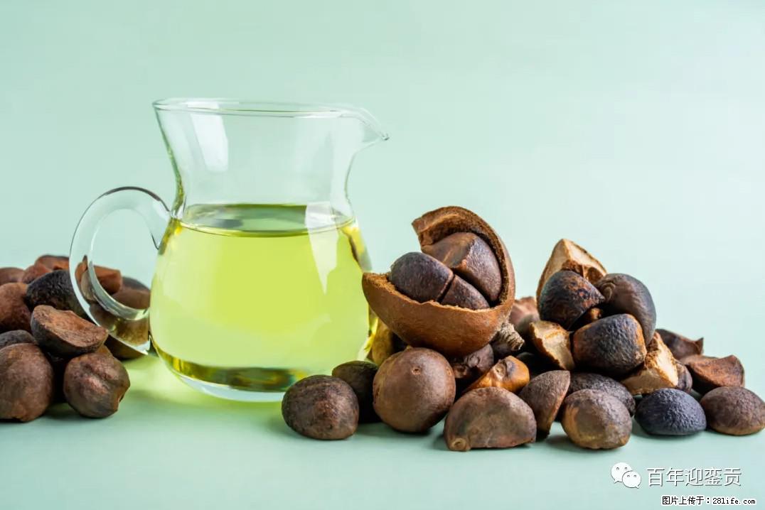 世界没有真相，只有认知，最好的食用油是中国的山茶油！ - 汉中生活资讯 - 汉中28生活网 hanzhong.28life.com