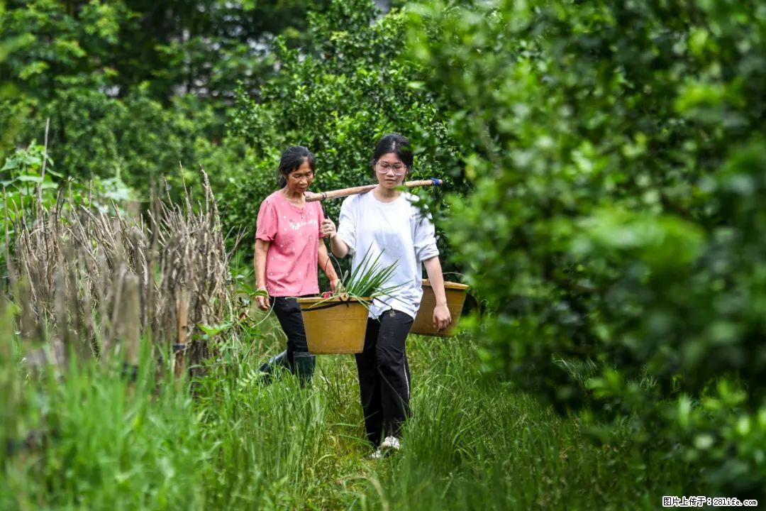 全网追的“扁担女孩”，找了一份暑假工，时薪12元 - 汉中生活资讯 - 汉中28生活网 hanzhong.28life.com