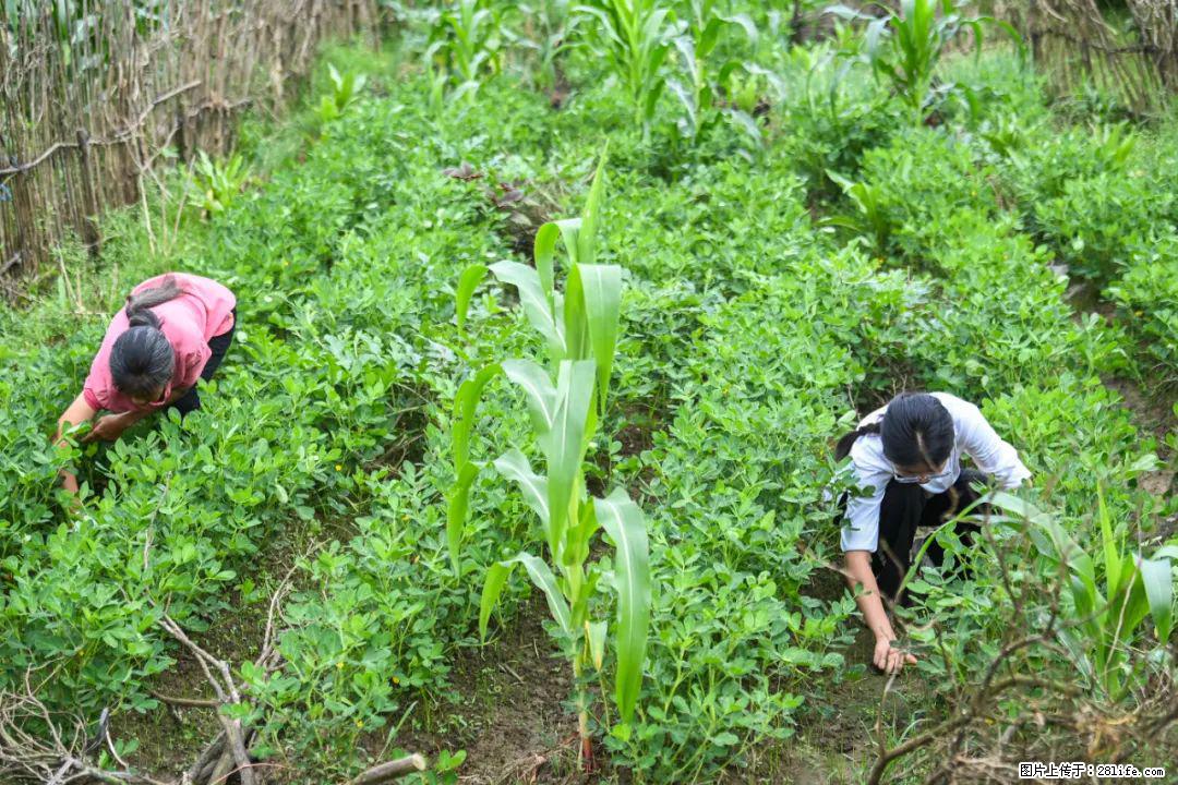 全网追的“扁担女孩”，找了一份暑假工，时薪12元 - 汉中生活资讯 - 汉中28生活网 hanzhong.28life.com