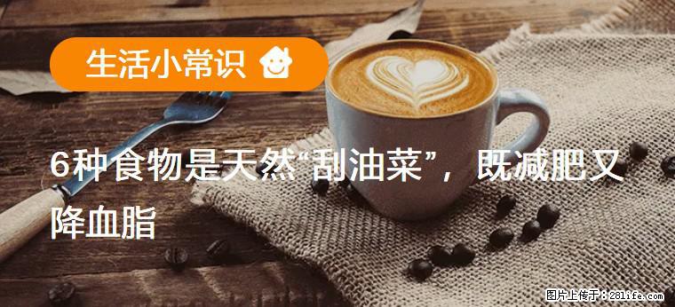 【生活小常识】6种食物是天然“刮油菜”，既减肥又降血脂 - 汉中生活资讯 - 汉中28生活网 hanzhong.28life.com