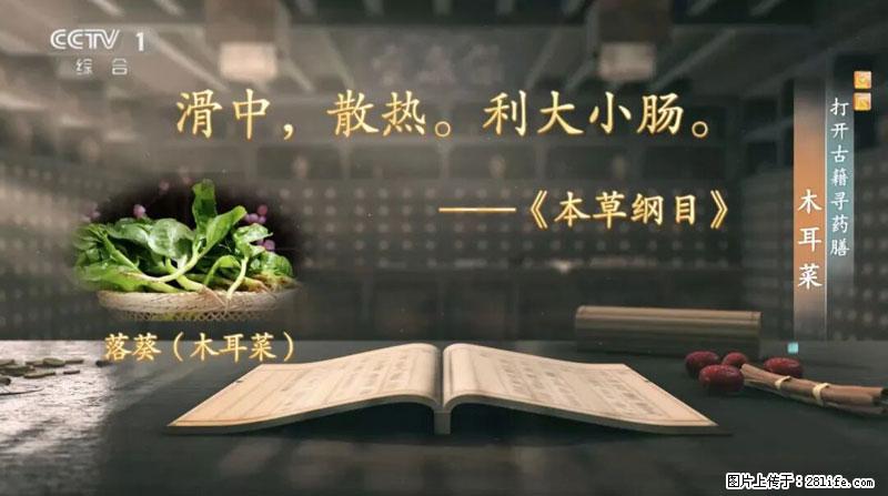 比牛奶补钙还厉害！凉血解毒、稳血糖...这菜冬天必吃，很多人却当草 - 汉中生活资讯 - 汉中28生活网 hanzhong.28life.com