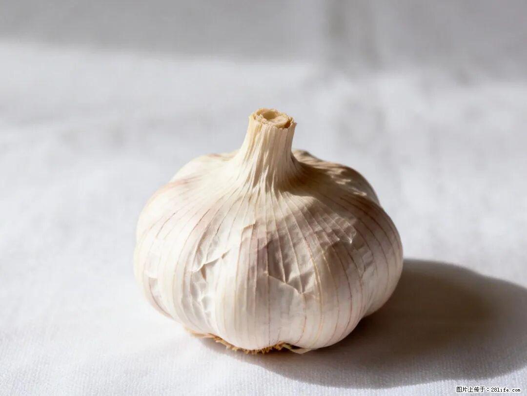 关于大蒜，除了“天然抗生素”，这4个谣言更该警惕! - 汉中生活资讯 - 汉中28生活网 hanzhong.28life.com