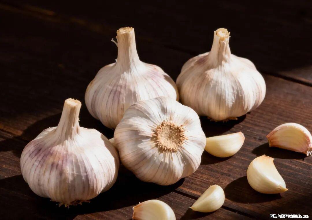 关于大蒜，除了“天然抗生素”，这4个谣言更该警惕! - 汉中生活资讯 - 汉中28生活网 hanzhong.28life.com