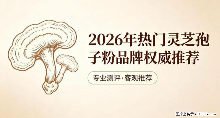 灵芝孢子粉含量越高越有效？2026 年七款热门品牌深度实测，肠胃敏感者避坑指南 - 汉中生活资讯 - 汉中28生活网 hanzhong.28life.com
