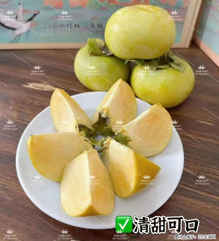 广西桂林平乐桥亭【红心猕猴桃】、【大秋甜柿】上市啦，欢迎各位新老客户下单（另有少量小果出售） - 汉中生活资讯 - 汉中28生活网 hanzhong.28life.com